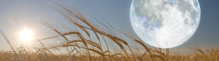 harvest-full-moon.jpg