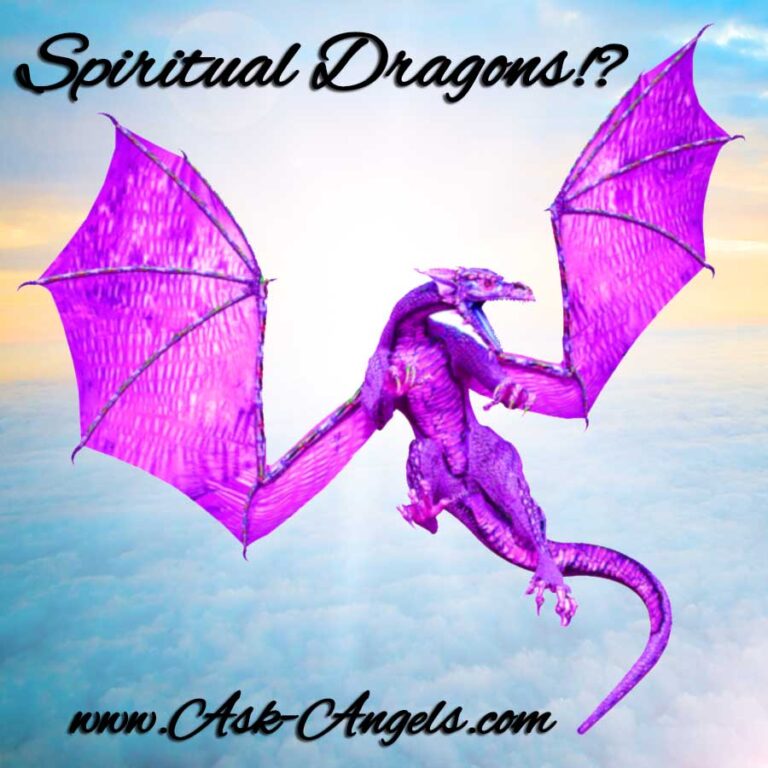 spirituadragons.jpg