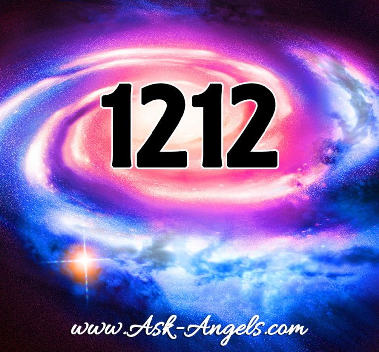 1212.jpg