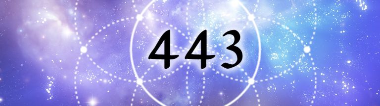 443.jpg