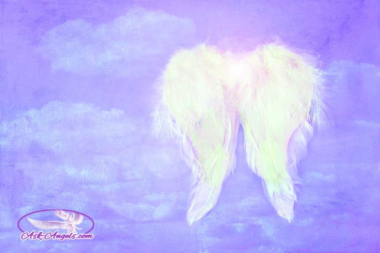 angelwings.jpg
