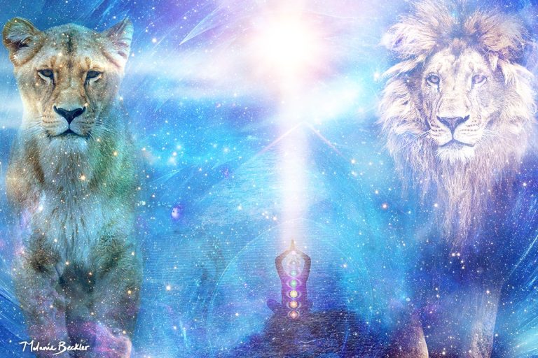 lions-web.jpg