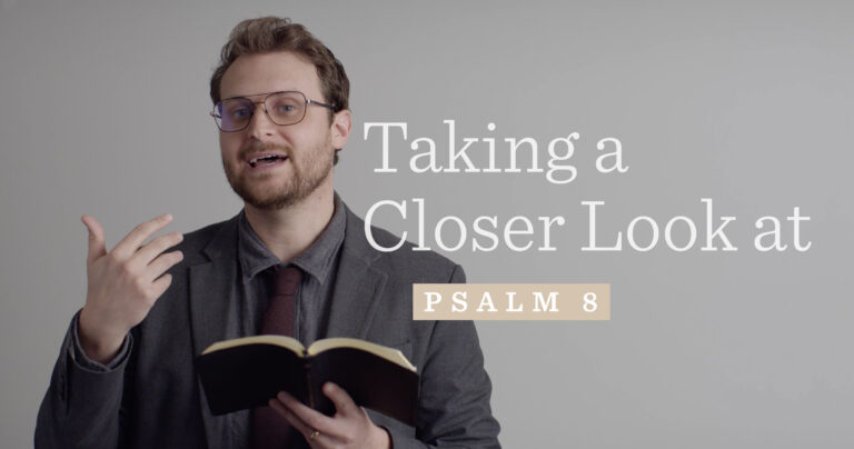 ACLB-psalm-8-article.jpg