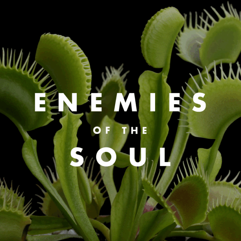 ep_cover_20250210_030244_dd71c17e0986a9ebdb9ad5812f3571ea.png