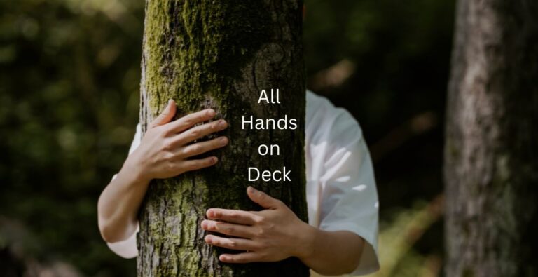 handsdeck.jpg