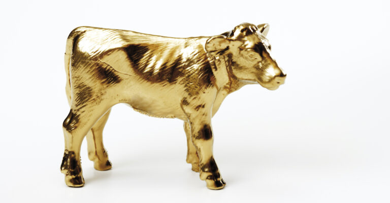 15736-idol-goldencow-gettyimages-527635261-tunedin.jpg