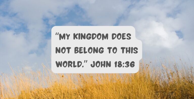 john18-36.jpg