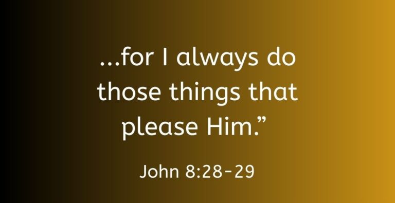 john8-28-29.jpg