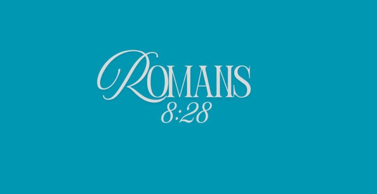 rom8-28-.jpg