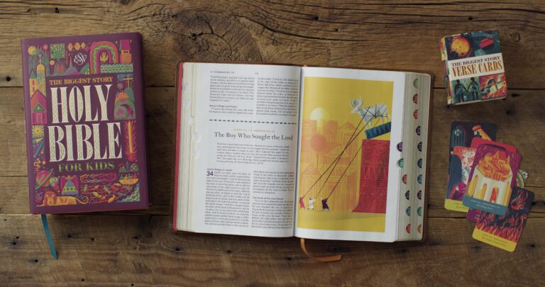 Crossway_Preorder_Special_-_The_Biggest_Story_Holy_Bible_for_Kids-L.jpg
