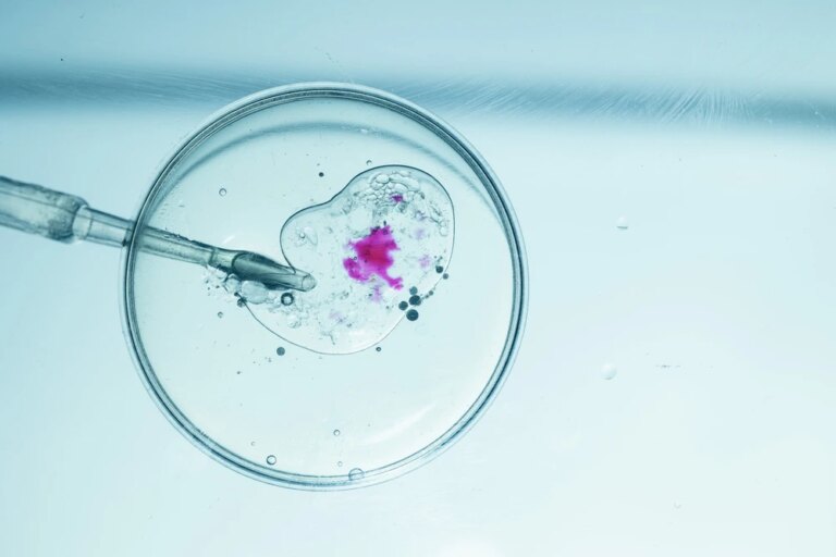 invitrofertilization022025.jpg