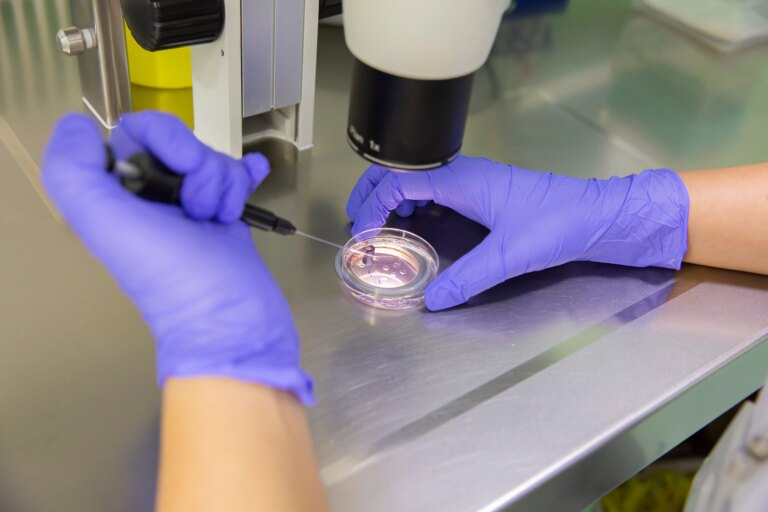 ivf101625.jpg