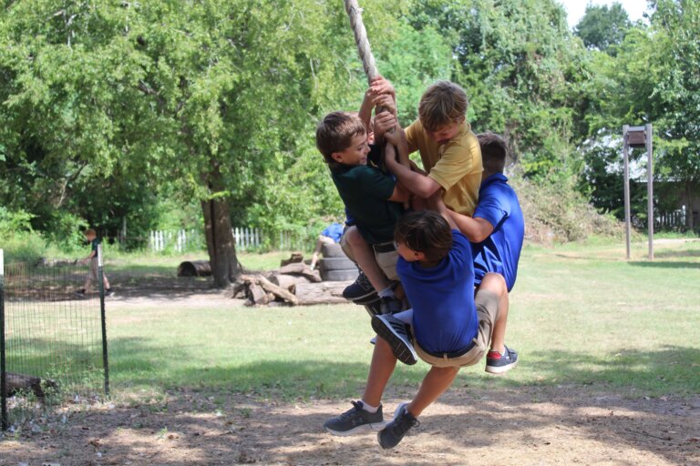 swingwa.jpg