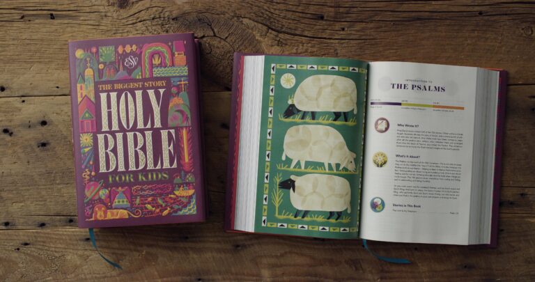 9781433580598-ESV_The_Biggest_Story_Holy_Bible_for_Kids_HC-01-L.jpg