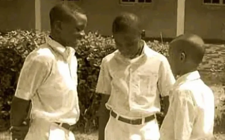 aci-africa-photo-edit-1762332316.png.webp.webp