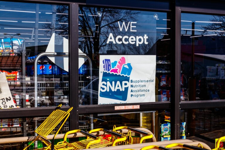 snap-grocery-story.jpg