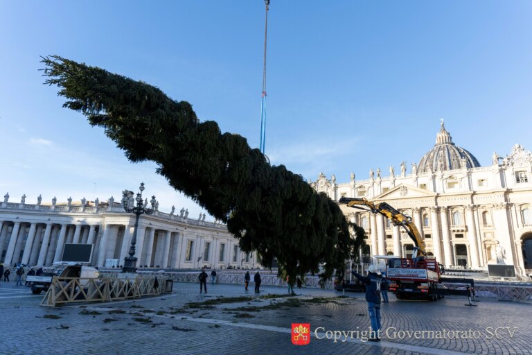 tree.jpg