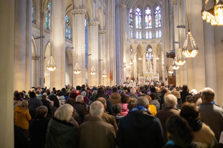 2025-11-16-pelerinage-du-ciel-messe-cardinal-francois-xavier-bustillo-img-9489-csanctuaire-montligeon-3200px.jpg