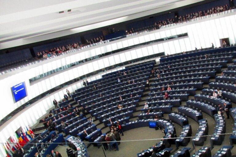 plenarsaal-europaparlament-strassburg-panoramio.jpg