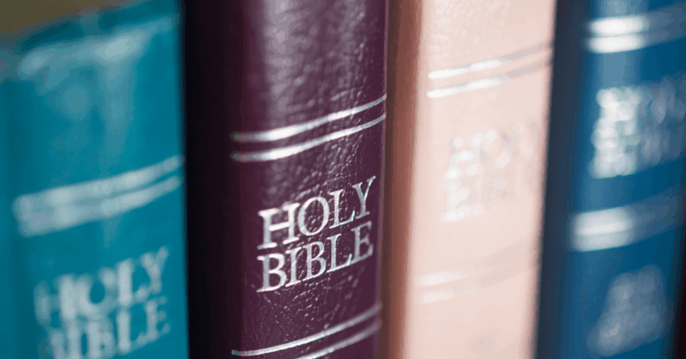 Collection-Of-Bibles.png