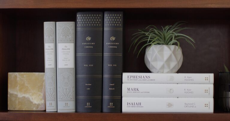 Crossway_Special-Commentary_Sets_and_Resources-L_Bc1XAwK.jpg
