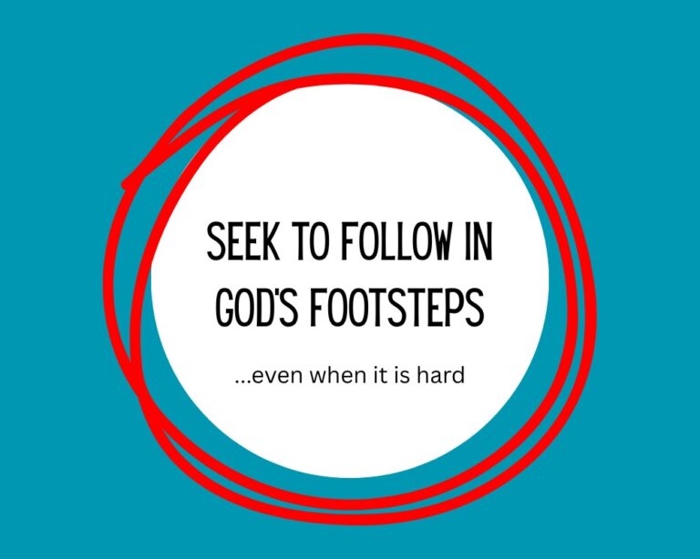 Seek-to-follow-.jpg