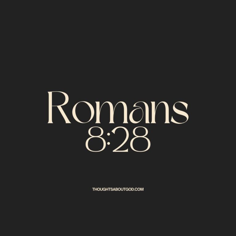 rom-828.jpg