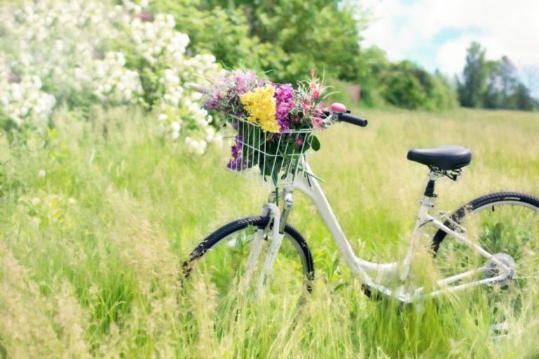 bicycle-788733_1280-e1488211463965.jpg