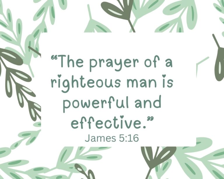 james5-16.jpg