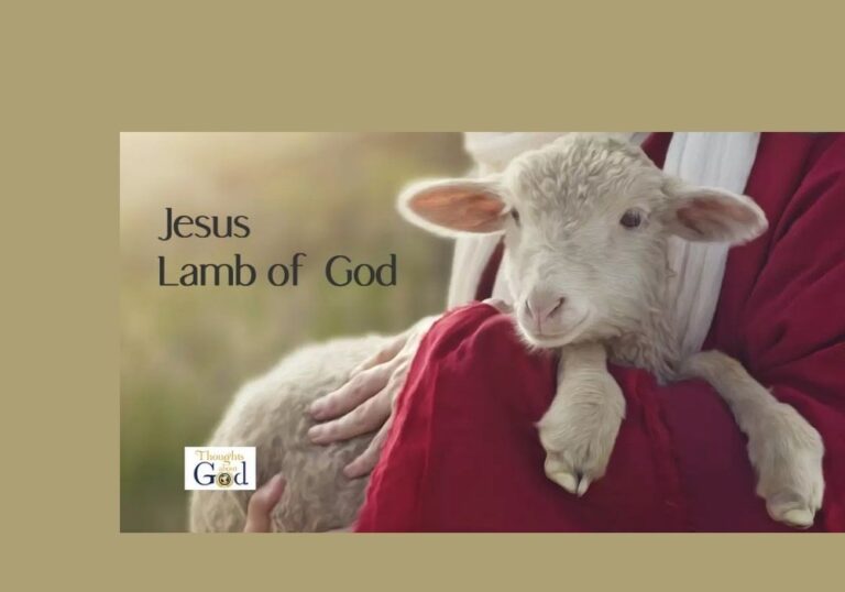 jesuslamb.jpg