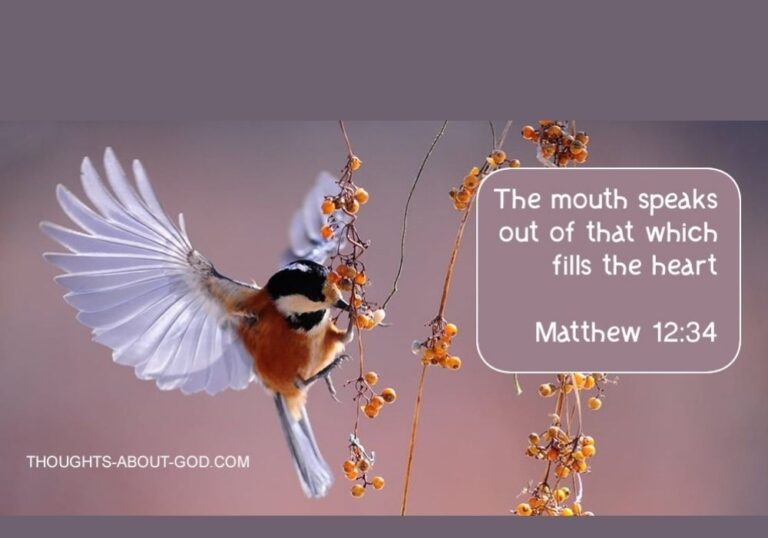 matt12-34-1-1.jpg