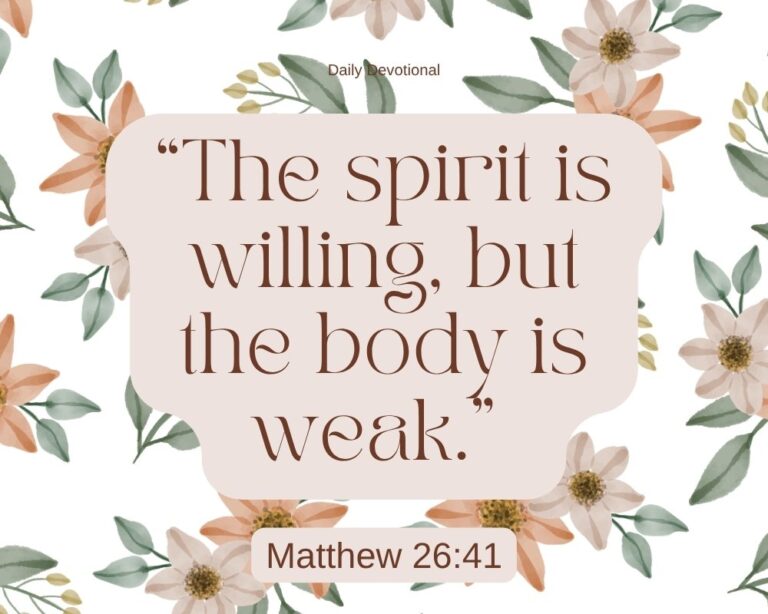 Matthew-2641.jpg