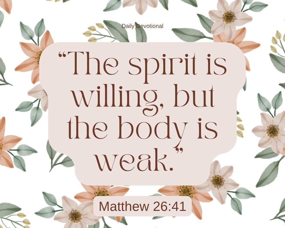 Matthew-2641.jpg
