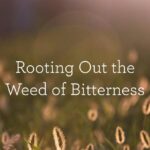 RootingOutTheWeedOfBitterness_BlogHeader_05.13.jpg