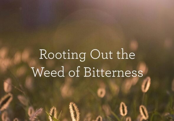 RootingOutTheWeedOfBitterness_BlogHeader_05.13.jpg