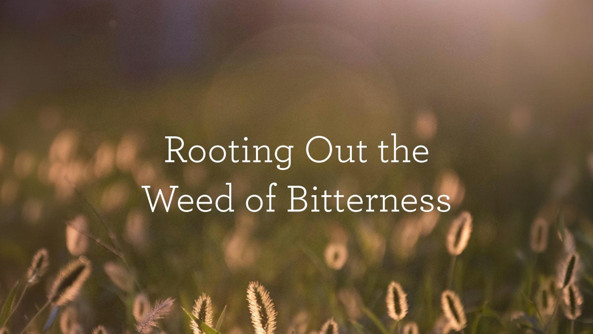 RootingOutTheWeedOfBitterness_BlogHeader_05.13.jpg