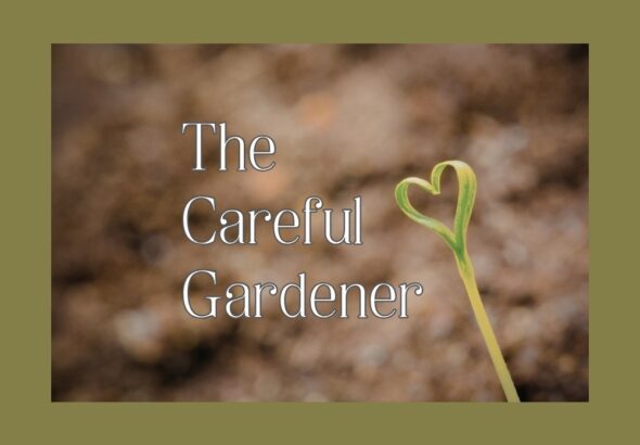 careful-gardener.jpg